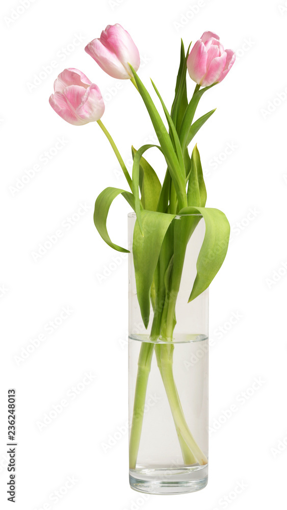 Bouquet of tulips and in vase isolated on white