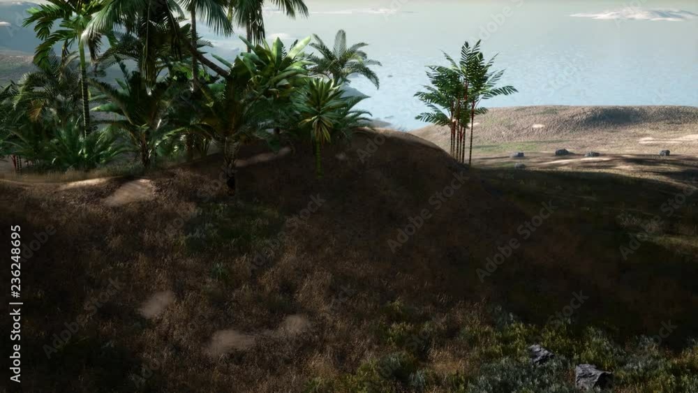 4k Amazing Sunrise at Palm Oil Tree Plantation. Aerial birds eye view. Thailand