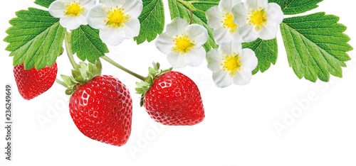 tasty red summer freshness strawberries