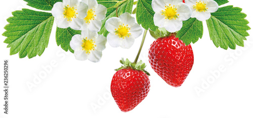 freshness red tasty strawberries