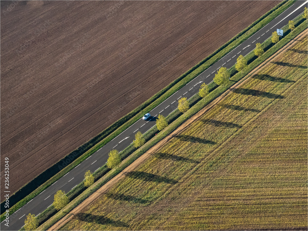 photo aérienne d'une route bordée d'arbres à l'automne à Soindres dans les Yvelines en France
