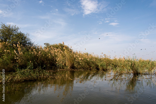 Parc national des oiseaux du Djoudj, Sénégal