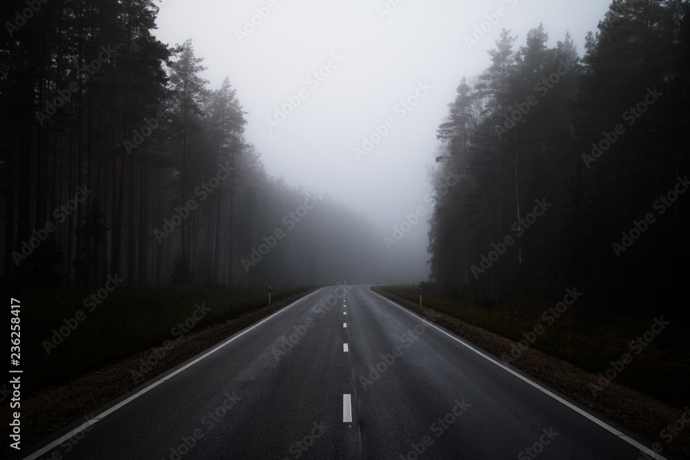 Fototapeta premium road in fog
