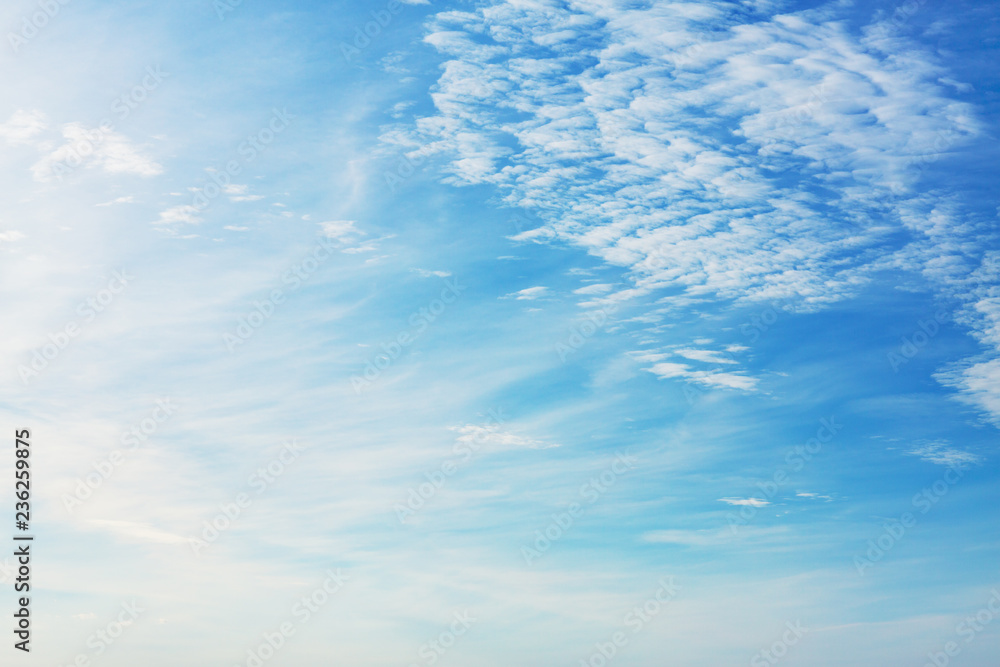 Fototapeta premium White clouds on blue sky. Texture