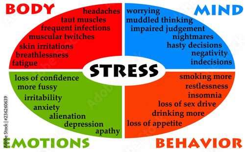 Cuadro en lienzo stress body mind