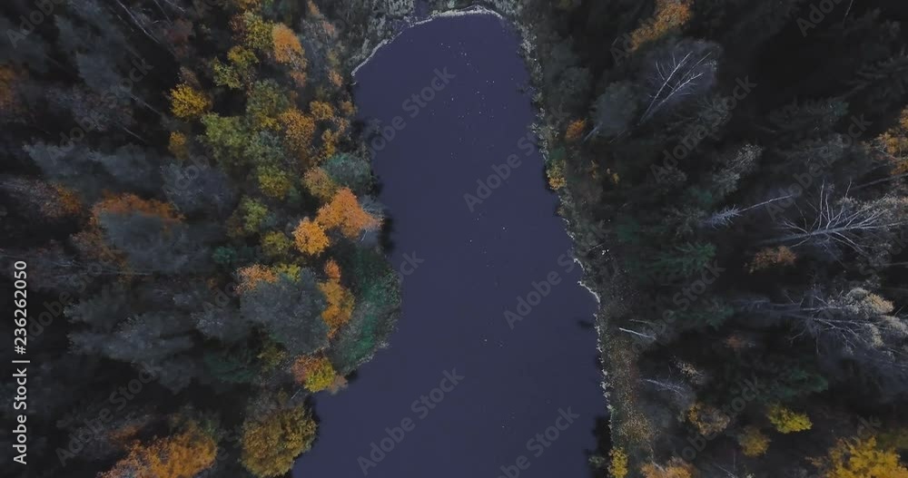 Aerial drone view of lake and forest, above trees. Russian landscape with pines and fir, evening time in wild nature 4k Aerial drone view of lake and forest, above trees. Russian landscape with pines and fir, evening time in wild nature 4k