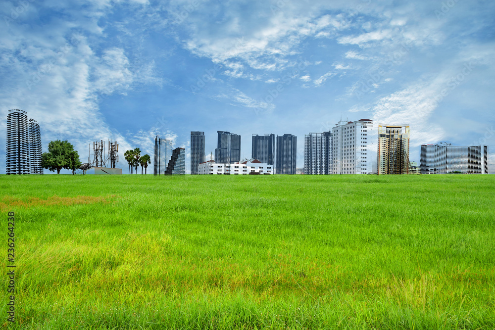 Green field with high building blue sky for baackground