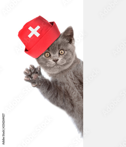 Cat dressed like a doctor behind white banner. isolated on white background