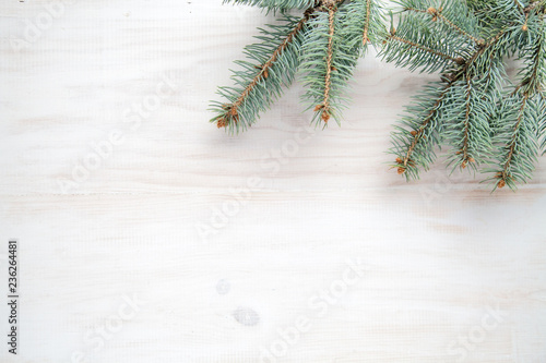 christmas tree on white wood blackground