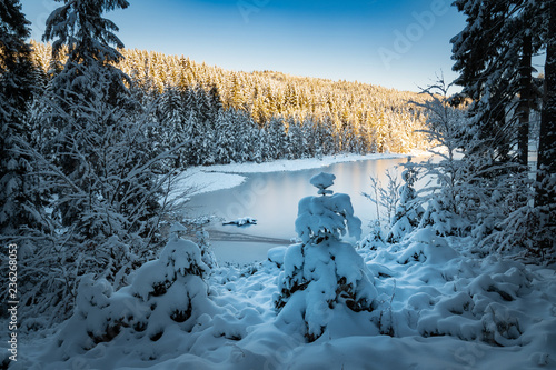 Waldwinterkleid am Pfaffenstegteich photo