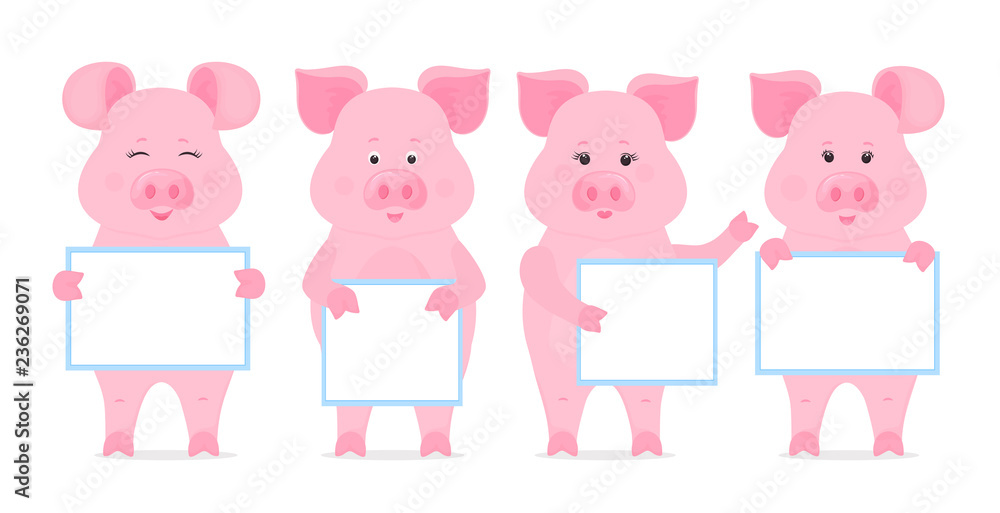Pigs are holding blank sign, clean poster, empty poster, banner. Funny piglets.