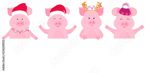 Pigs in Christmas costumes keep blank banner. Santa Claus hat, cap with furry hat.