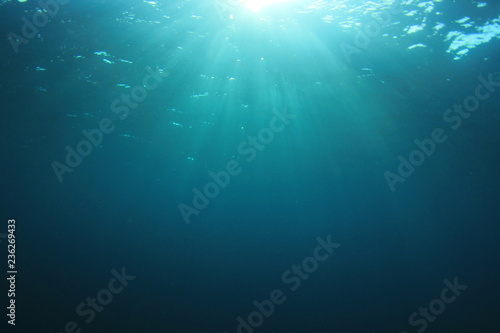 Underwater background  © Richard Carey
