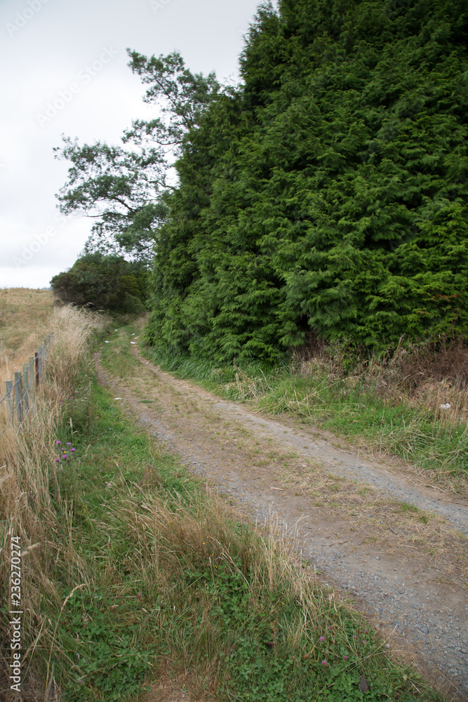 Einsamer Schotterweg Einsamer Schotterweg