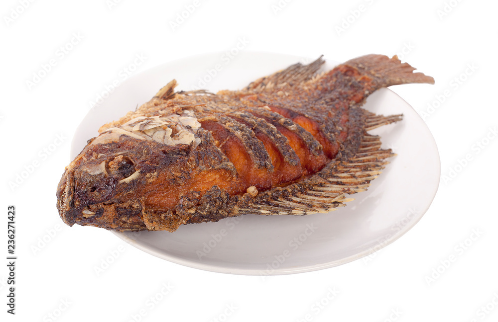 Fried Tilapia fish fried isolated on white background Fried Tilapia fish fried isolated on white background