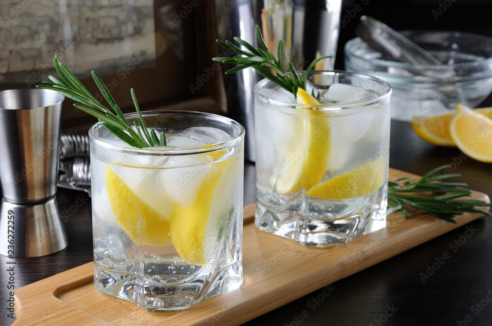 Fototapeta premium Cocktail White port and Tonic.