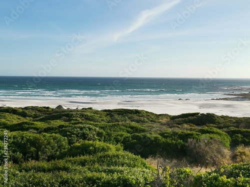 Wallpaper Mural fznor Torontodigital.ca