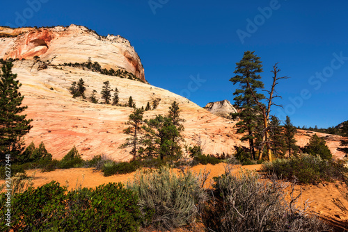 Zion National Park