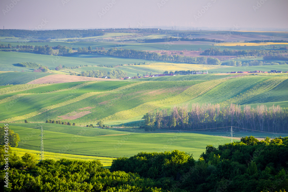 Endless Green Fields, Rolling Hills, Tractor Tracks, Spring Landscape under Blue Sky. South Moravia, Czech Republic