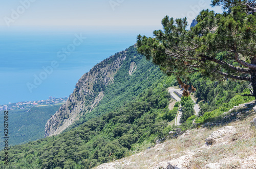 Mountain slope with a road near the sea coast. Russia, Republic of Crimea. 06.13.2018. The slope of Mount Ai-Petri with a highway and views of the Black Sea photo