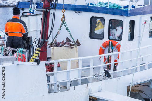 Fisherman unloading his catch of the day in harbor © Sander