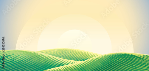 Morning rural landscape, sunrise over hills wight sown agricultural fields. Vector illustration.