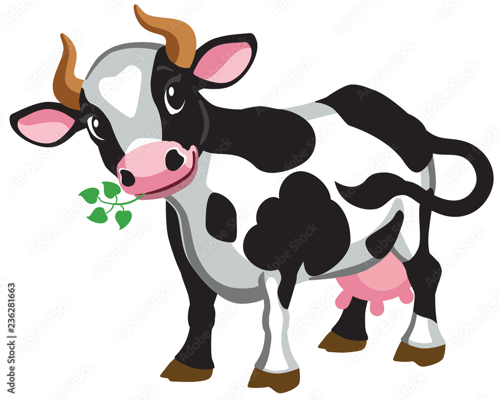 cartoon black cow . Isolated vector illustration Stock Vector ...