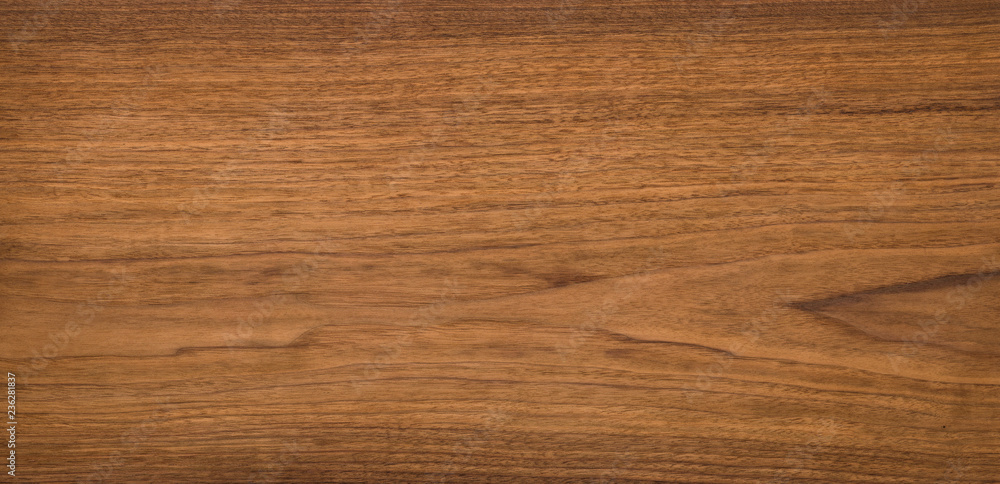 Walnut natural texture, texture elements, texture background Walnut natural texture, texture elements, texture background