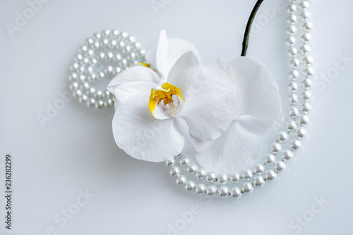 pearl and white orchid on a white glas 