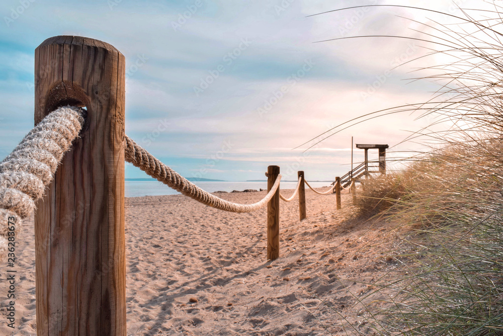 Naklejka premium Rope fences protecting dune system on Es Cavallet Beach, Ibiza (Spain).