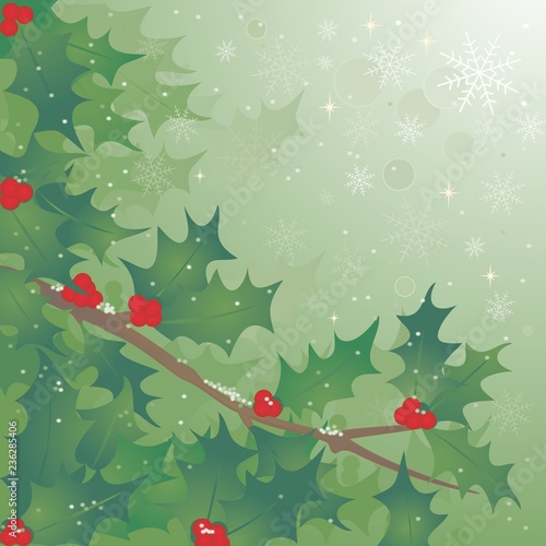 Acebo de navidad