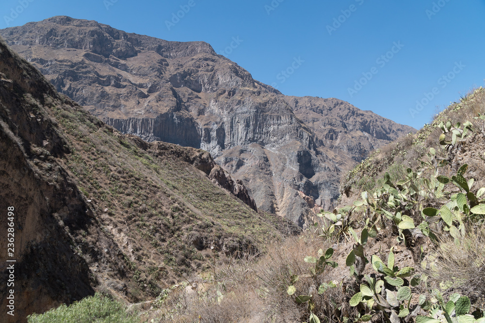 Colca Canyon Trekking Tour