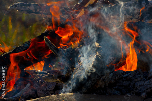 Burning firewood. Fire background with flame