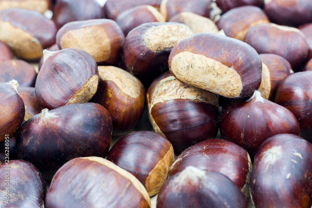 chestnut, chestnuts, fruit, autumn, isolated, food, shell, background, white, brown, season, sweet, vitamin, roasted, nut, closeup, healthy, retro, macro, close-up, group, traditional, wood, winter, c chestnut, chestnuts, fruit, autumn, isolated, food, shell, background, white, brown, season, sweet, vitamin, roasted, nut, closeup, healthy, retro, macro, close-up, group, traditional, wood, winter, c