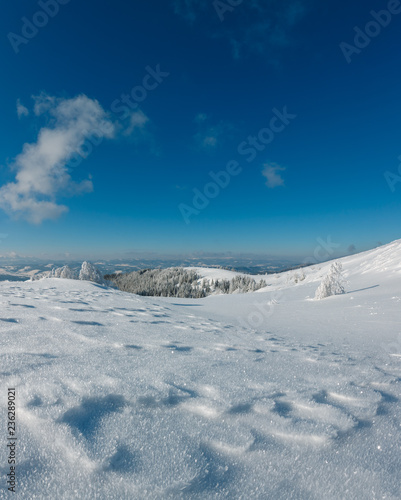 Winter mountain snowy landscape © wildman