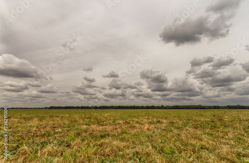 Empty meadow field © dpullman