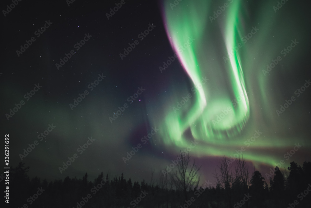 Northern light / Aurora borealis in the sky of finland during winter