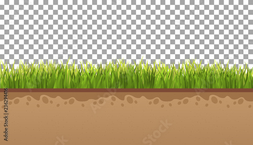 Ground  with green grass On a transparent background. Vector illustrations
