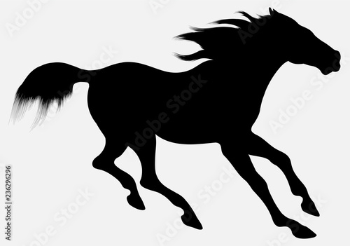 Black vector silhouette of horse with long mane, galloping free. Clip art and design element for equine industry. Emblem of an agricultural animal.