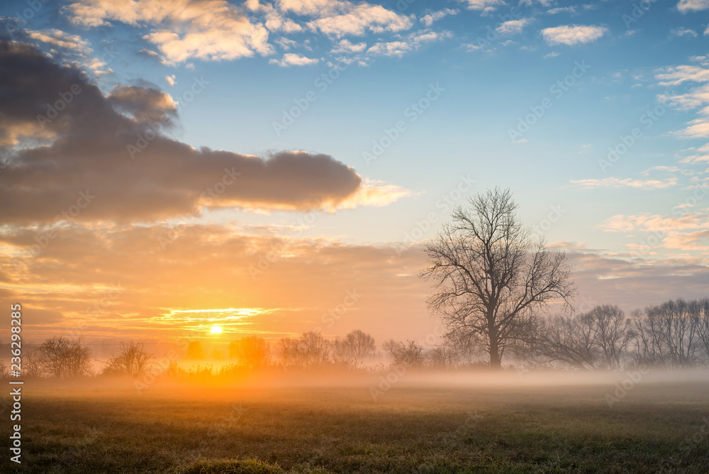 Foggy sunrise at the frozen fields Foggy sunrise at the frozen fields