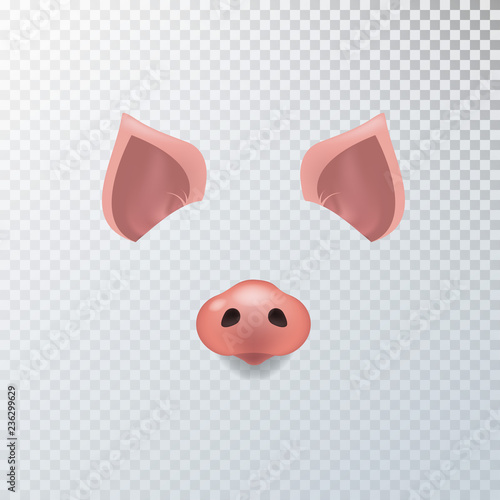 Vector realistic animal pig face video chat, photo effects, selfie filters set.
