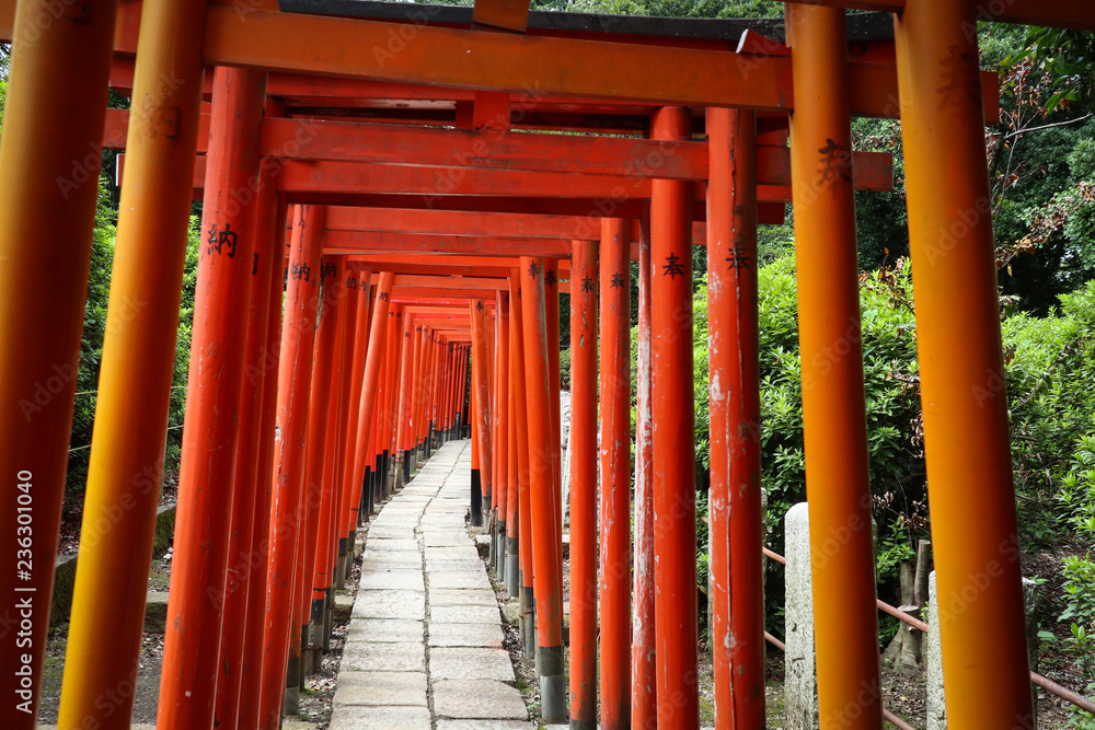 Torii gate in shrine