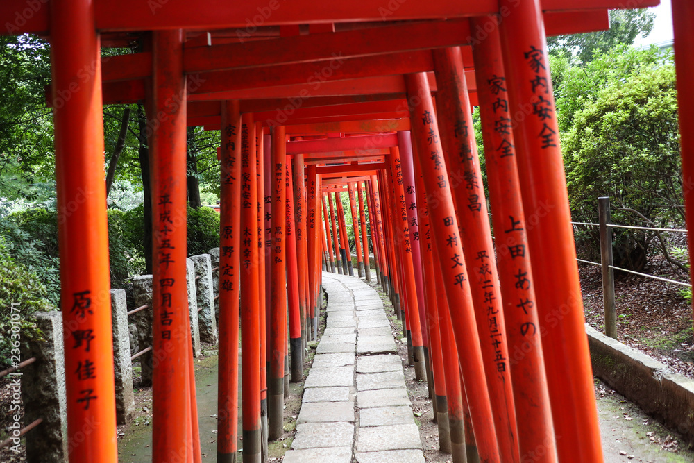 Torii gate in shrine