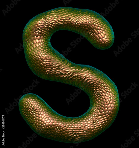 Letter S made of natural gold snake skin texture isolated on black.