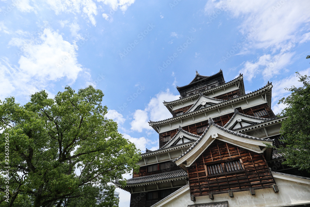 castle in japan