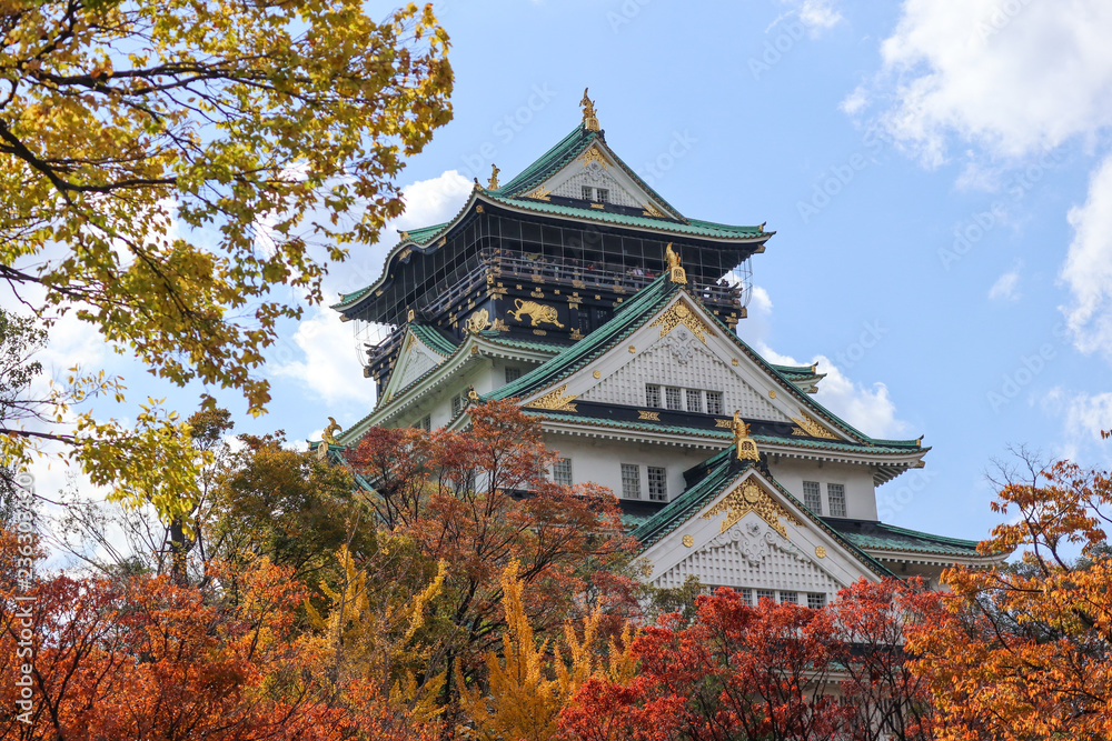 Fototapeta premium castle in Japan