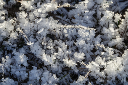 Frozen grass a sunny cold d...
