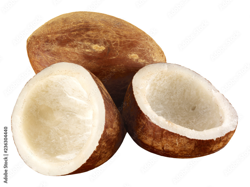 DRIED COPRA DRIED COPRA