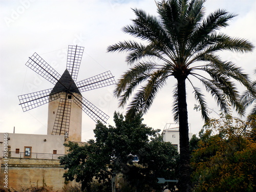 windmühle mallorca