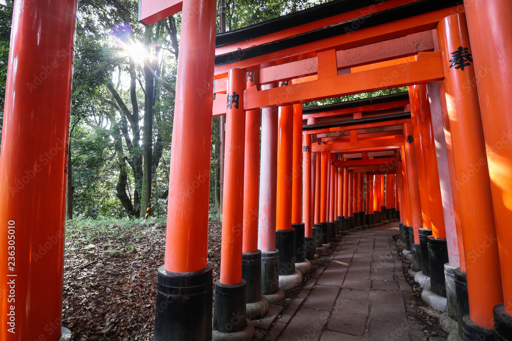 Fushimi inari shrine